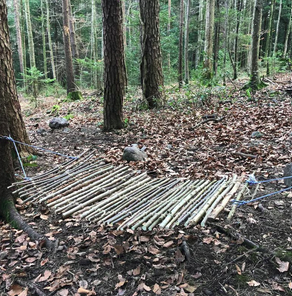 Hängematte aus Holz