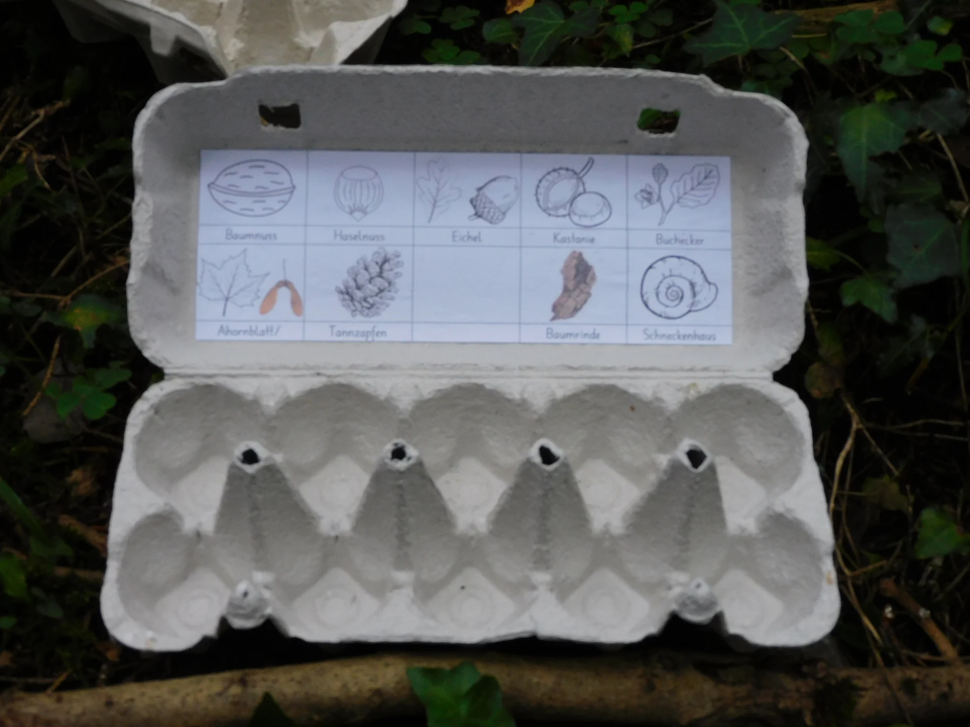 Schatzsuche in der Natur